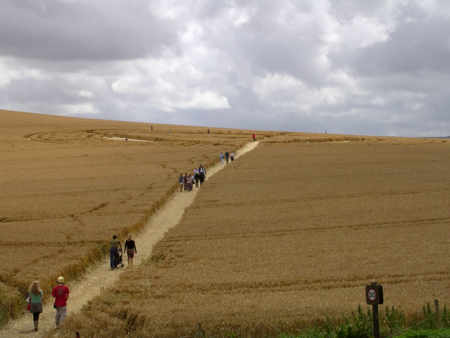 Crop circle south of Avebury henge, Wiltshire — the English county where the modern hoaxer-driven wave centred.