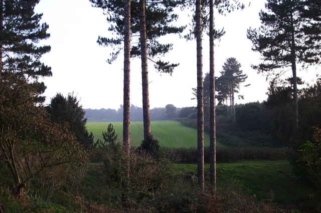Supposed UFO landing site in Rendlesham Forest, Suffolk, photographed years after the December 1980 incident.