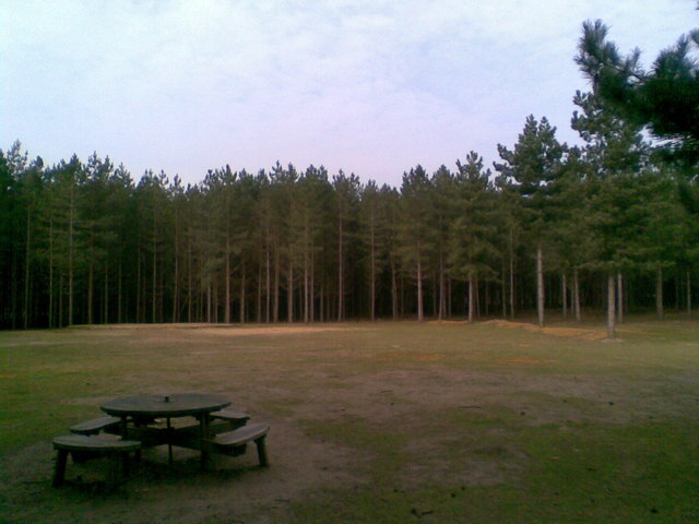 The pine plantation of Rendlesham Forest, between RAF Bentwaters and RAF Woodbridge.