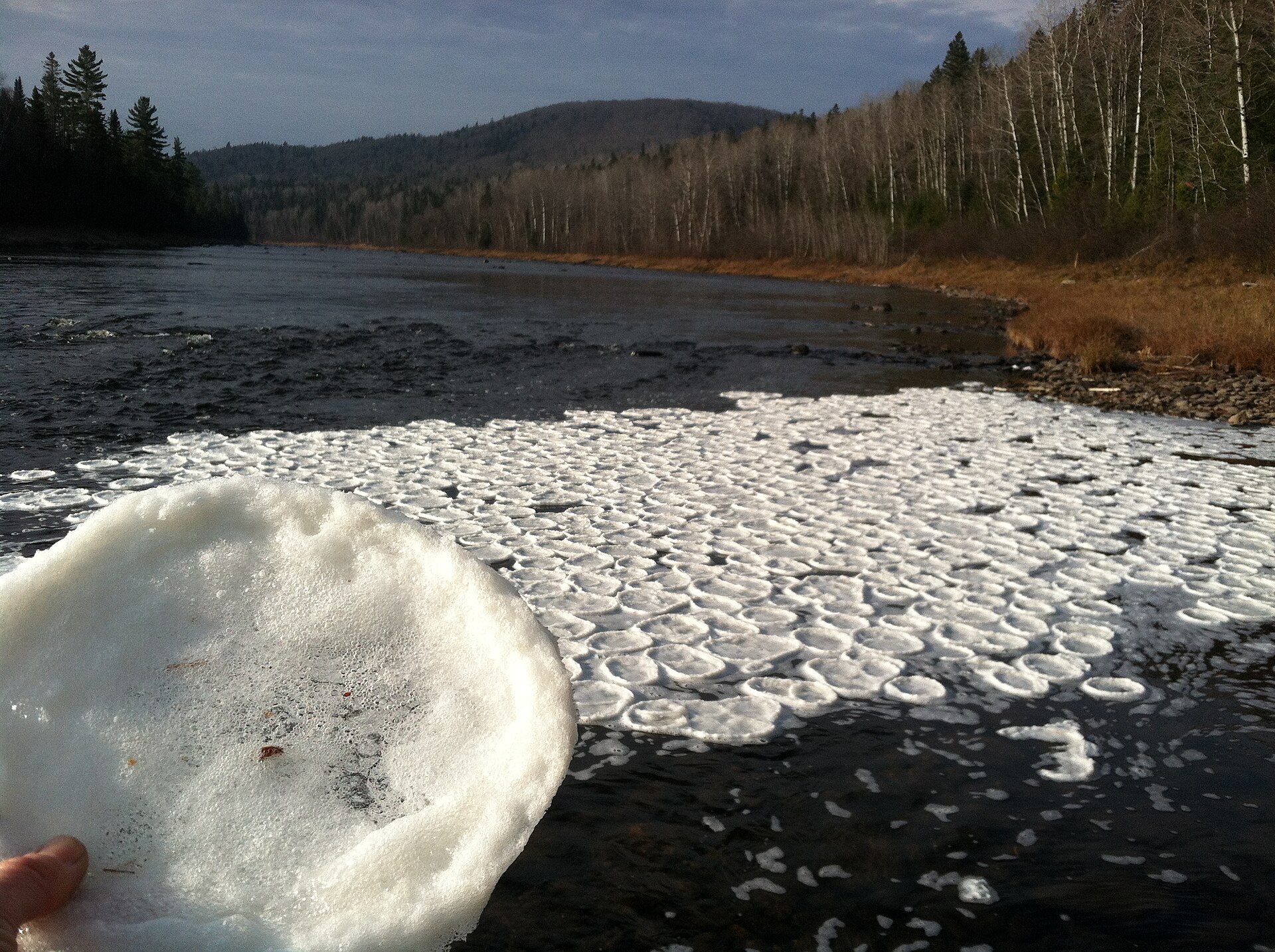 Pancake ice on the Allagash. The Allagash Wilderness Waterway is 92 miles of protected river through the North Maine Woods — sparsely populated, the closest human settlements 30+ miles in any direction from Eagle Lake.
