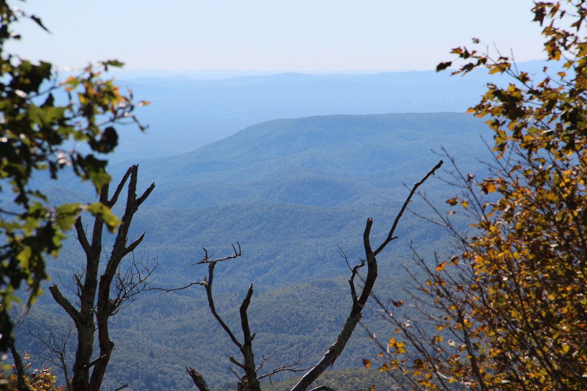 Brown Mountain from Grandfather Mountain. The 'Brown Mountain Lights' have been honored in the Cherokee, Catawba, and English oral traditions of the region for centuries; the Linville Gorge Wilderness around the peak is among the most rugged terrain in the East.