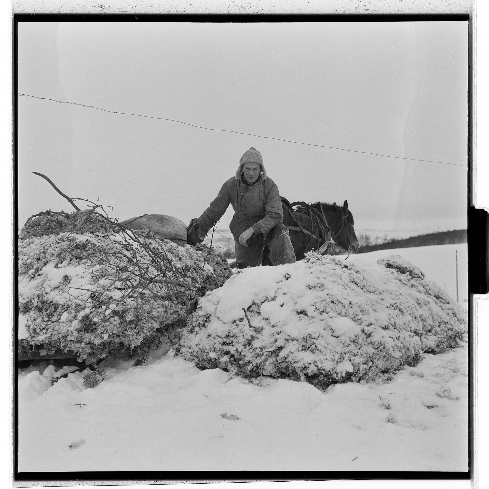 Hessdalen, 1953 — a fjellgrend (mountain settlement) of abandoned farms photographed by Billedbladet NÅ. The valley has been depopulated since the mid-20th century; today, scientists outnumber residents during monitoring campaigns.