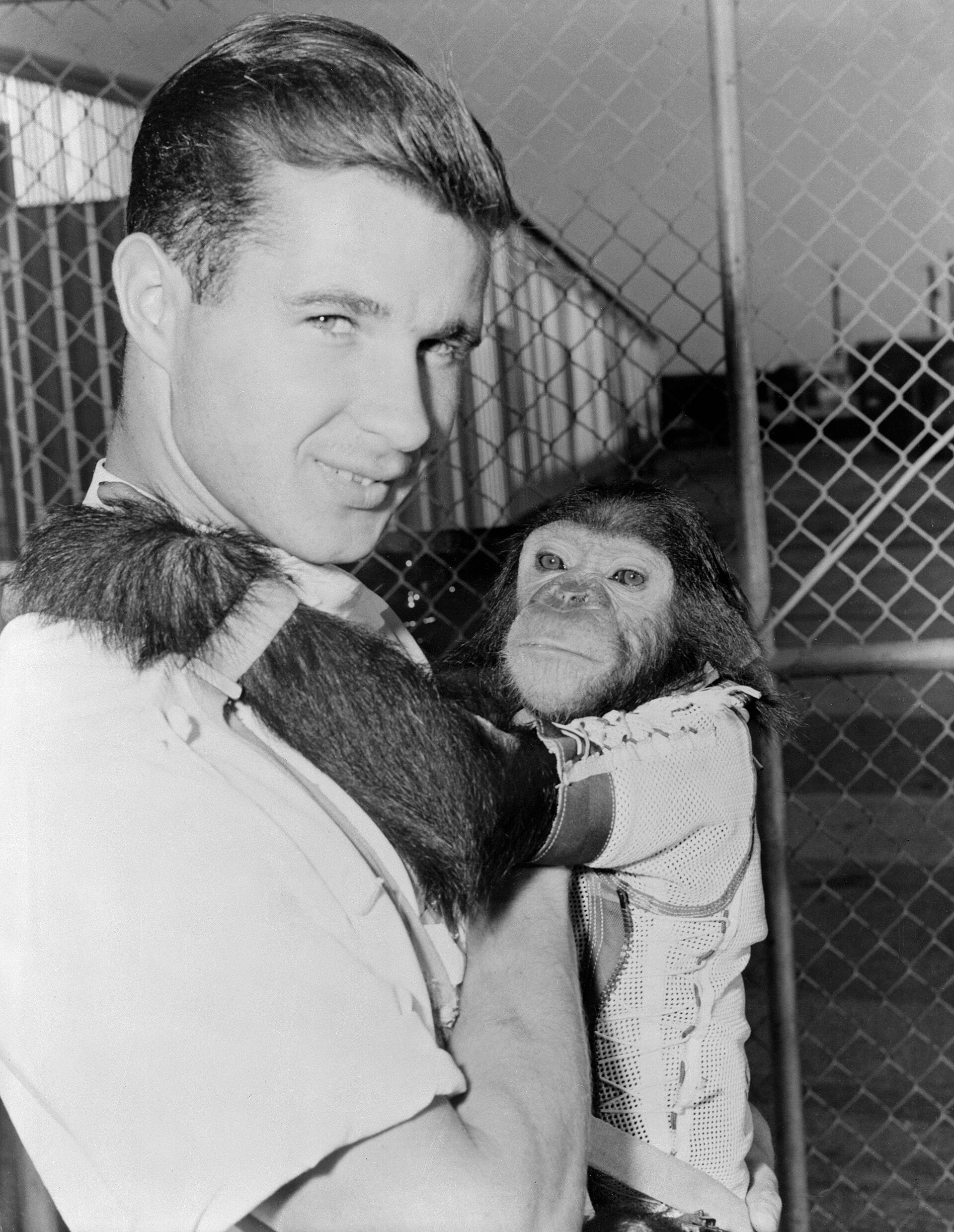 Enos the chimpanzee with his handler — the Holloman chimp who flew Mercury-Atlas 5 on 29 November 1961 and orbited Earth twice. The Holloman Aerospace Medical Center bred and trained the primate corps that preceded Mercury astronauts into orbit.