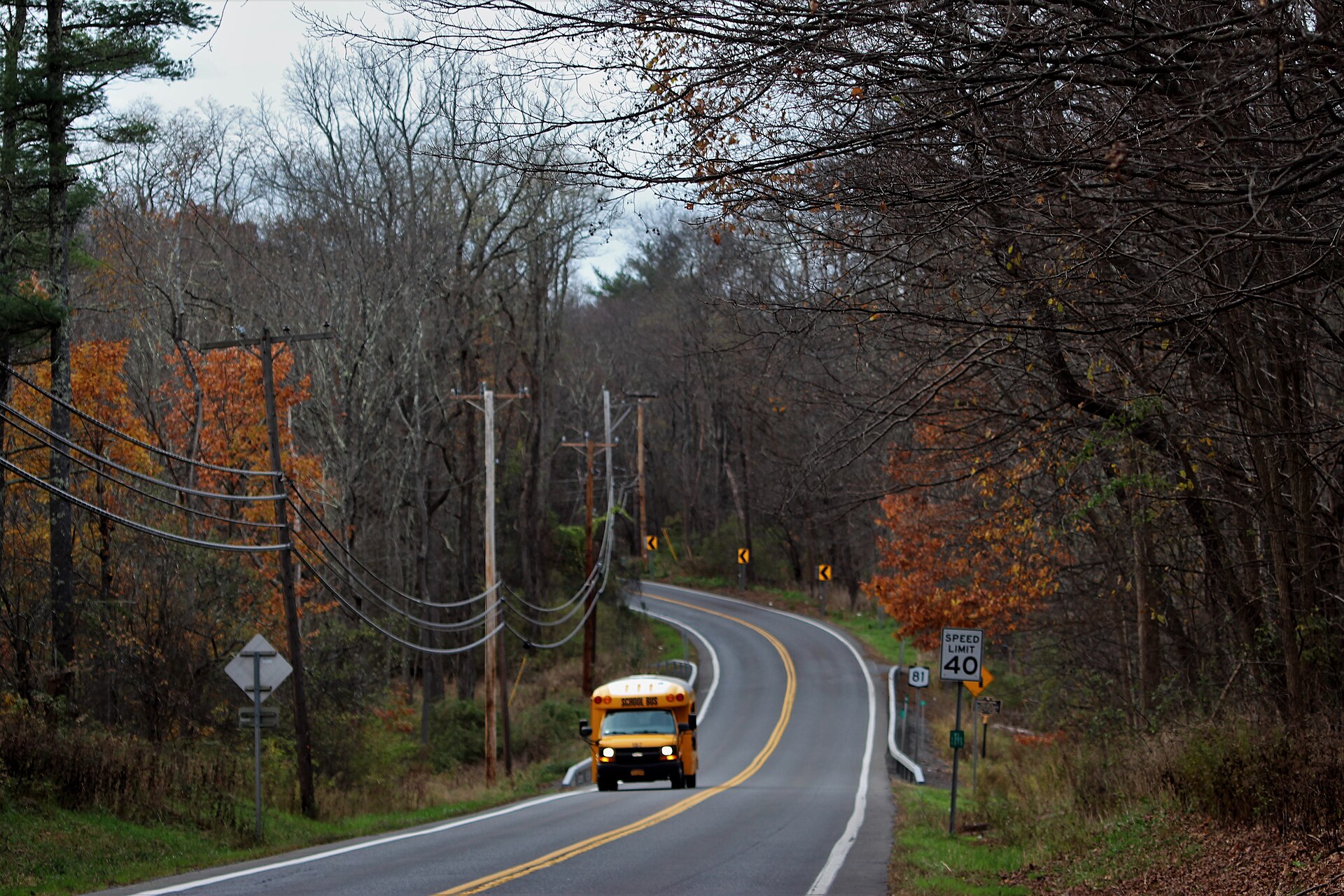 Autumn in the Catskills — the western edge of the Hudson Valley sighting zone. The reports concentrated along a band running from Westchester County north into Putnam, Dutchess, and ultimately the Catskill front.