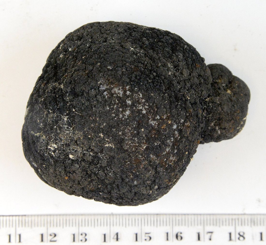 Polymetallic (manganese) nodules — the resource at the center of the seabed-mining controversy.