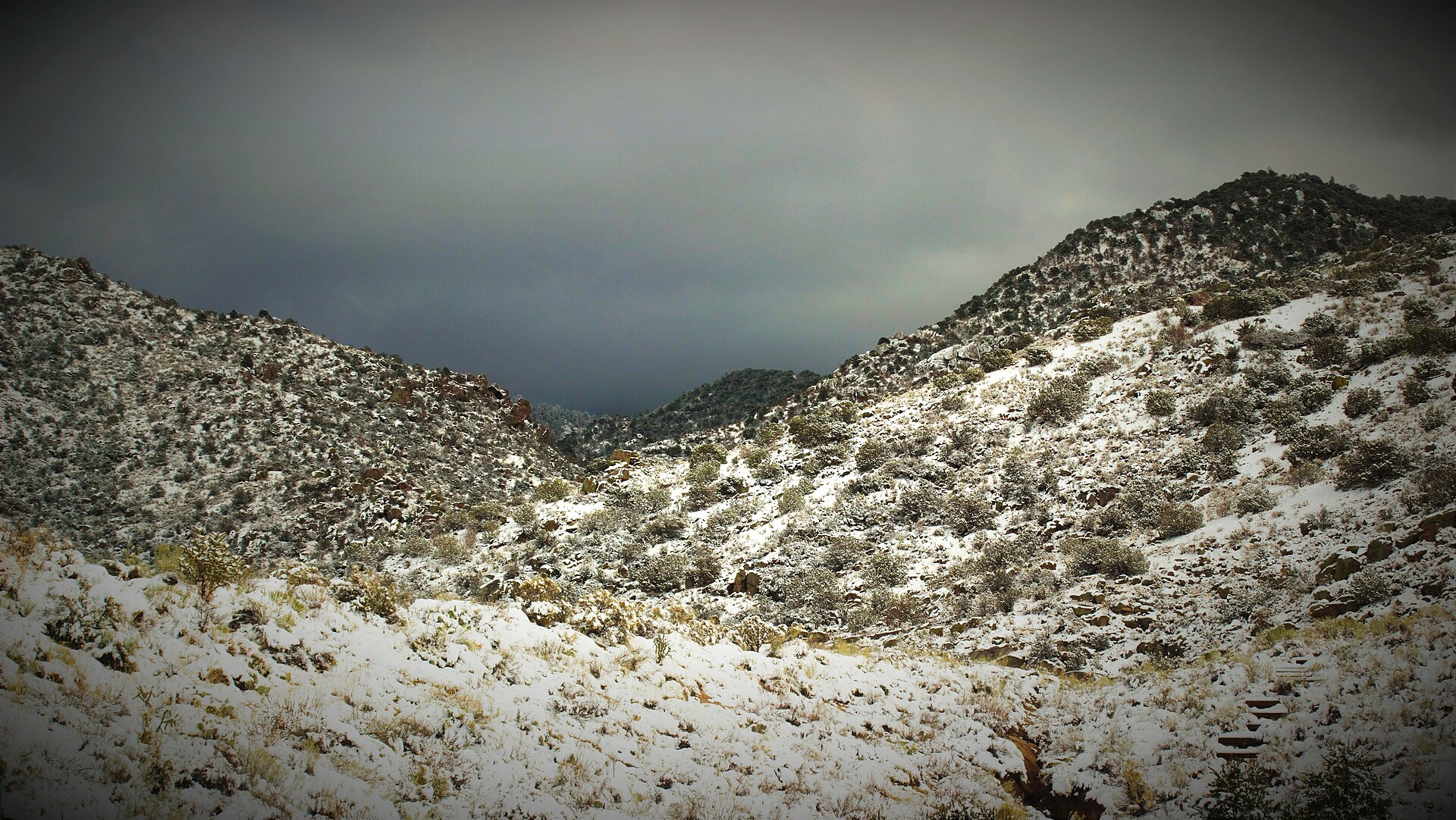 A snowstorm sweeping over Piedras Canyon. The August 1980 Manzano sentry incident — guards saw a glowing object hovering over the storage bunkers — is in declassified AFOSI documents.