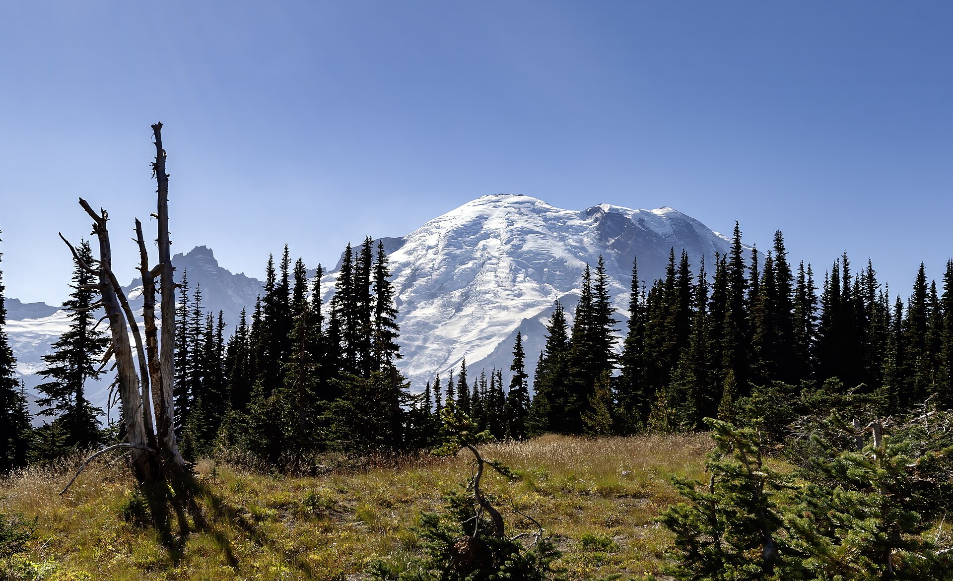 Mount Rainier from Sunrise — the eastern viewpoint at 6,400 feet. On 24 June 1947, private pilot Kenneth Arnold reported nine disc-shaped objects flying past the mountain at supersonic speed; the press called them 'flying saucers,' and the modern UFO era began.
