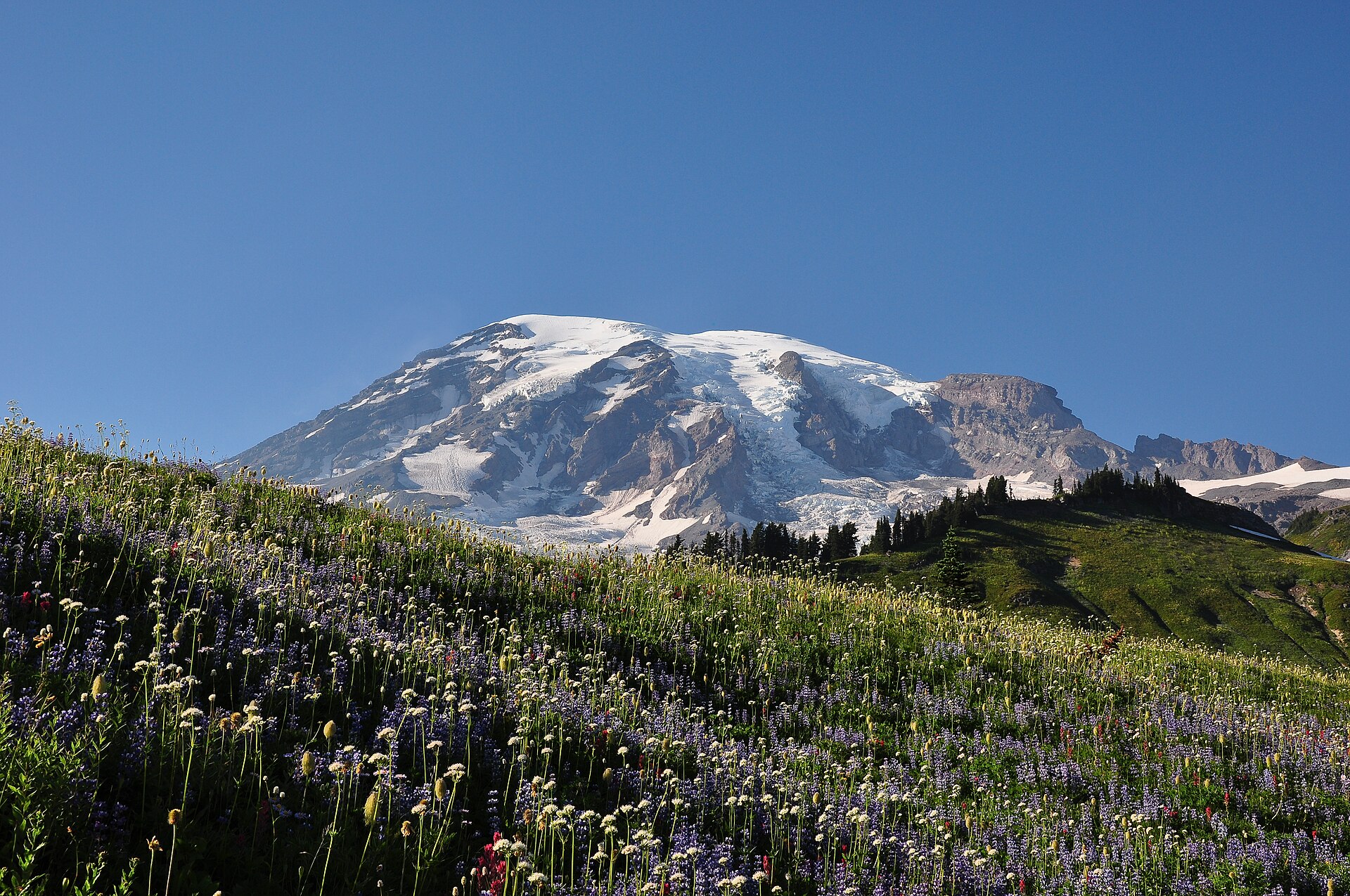 Rainier behind the wildflowers at Paradise Park. The Kenneth Arnold sighting — three days after a fellow Idaho pilot also reported discs — has been hypothesized variously as meteors, aircraft, or pelicans; none of the explanations fit the geometry.