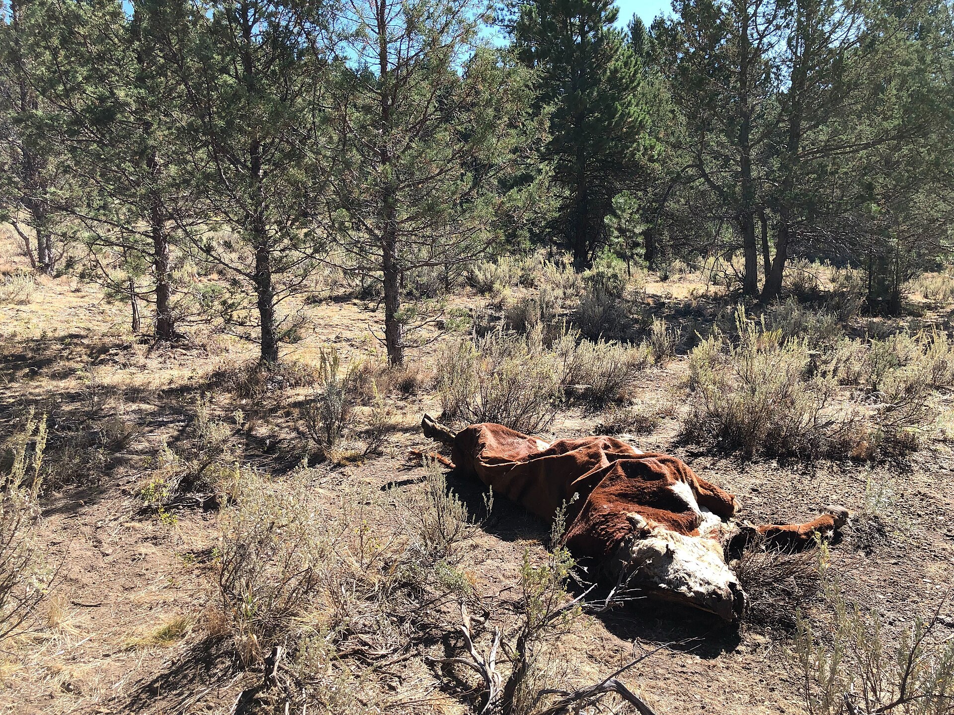 An overview of the Skinwalker Ranch area. The ranch is now operated as a private research facility by Brandon Fugal's group, who have published radar logs of unidentified objects entering the airspace at high speed multiple times each year since 2017.